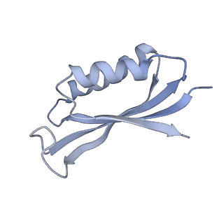 12331_7nhk_g_v1-1
LsaA, an antibiotic resistance ABCF, in complex with 70S ribosome from Enterococcus faecalis