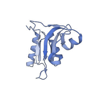 12331_7nhk_i_v1-1
LsaA, an antibiotic resistance ABCF, in complex with 70S ribosome from Enterococcus faecalis
