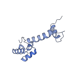 12331_7nhk_n_v1-1
LsaA, an antibiotic resistance ABCF, in complex with 70S ribosome from Enterococcus faecalis