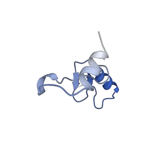 12331_7nhk_o_v1-1
LsaA, an antibiotic resistance ABCF, in complex with 70S ribosome from Enterococcus faecalis