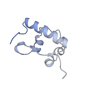 12331_7nhk_s_v1-1
LsaA, an antibiotic resistance ABCF, in complex with 70S ribosome from Enterococcus faecalis