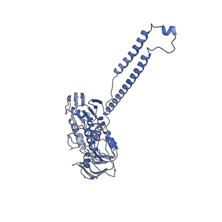 12332_7nhl_0_v1-1
VgaA-LC, an antibiotic resistance ABCF, in complex with 70S ribosome from Staphylococcus aureus