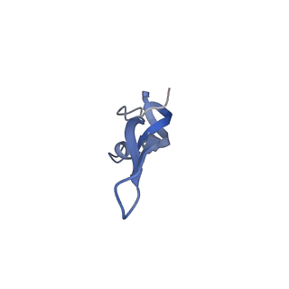 12332_7nhl_1_v1-1
VgaA-LC, an antibiotic resistance ABCF, in complex with 70S ribosome from Staphylococcus aureus