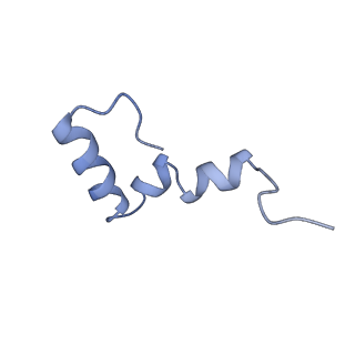 12332_7nhl_7_v1-1
VgaA-LC, an antibiotic resistance ABCF, in complex with 70S ribosome from Staphylococcus aureus