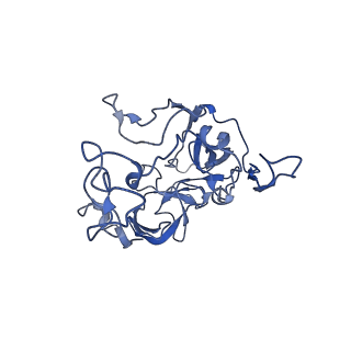 12332_7nhl_G_v1-1
VgaA-LC, an antibiotic resistance ABCF, in complex with 70S ribosome from Staphylococcus aureus