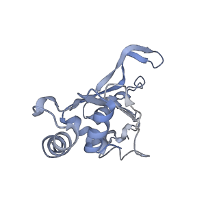 12332_7nhl_J_v1-1
VgaA-LC, an antibiotic resistance ABCF, in complex with 70S ribosome from Staphylococcus aureus