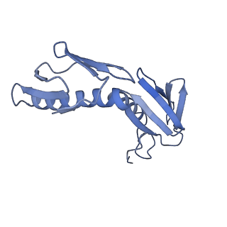12332_7nhl_K_v1-1
VgaA-LC, an antibiotic resistance ABCF, in complex with 70S ribosome from Staphylococcus aureus