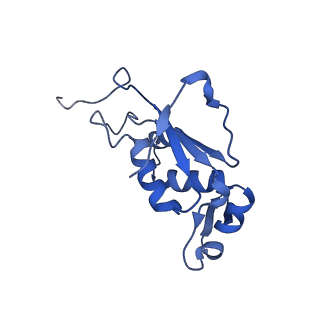 12332_7nhl_M_v1-1
VgaA-LC, an antibiotic resistance ABCF, in complex with 70S ribosome from Staphylococcus aureus