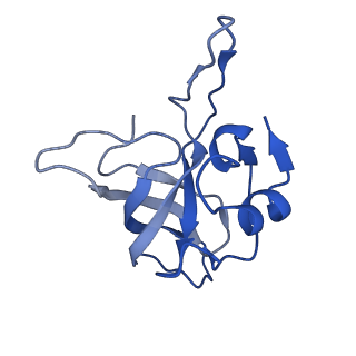12332_7nhl_N_v1-1
VgaA-LC, an antibiotic resistance ABCF, in complex with 70S ribosome from Staphylococcus aureus