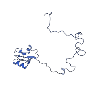 12332_7nhl_O_v1-1
VgaA-LC, an antibiotic resistance ABCF, in complex with 70S ribosome from Staphylococcus aureus