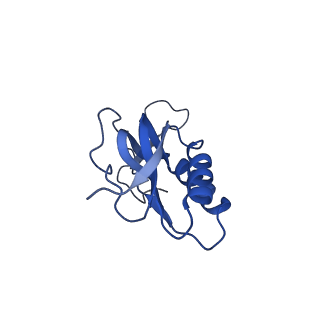 12332_7nhl_P_v1-1
VgaA-LC, an antibiotic resistance ABCF, in complex with 70S ribosome from Staphylococcus aureus