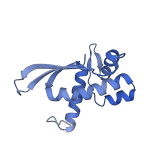 12332_7nhl_Q_v1-1
VgaA-LC, an antibiotic resistance ABCF, in complex with 70S ribosome from Staphylococcus aureus