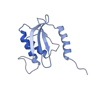 12332_7nhl_R_v1-1
VgaA-LC, an antibiotic resistance ABCF, in complex with 70S ribosome from Staphylococcus aureus