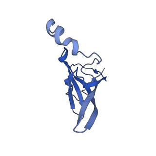 12332_7nhl_S_v1-1
VgaA-LC, an antibiotic resistance ABCF, in complex with 70S ribosome from Staphylococcus aureus
