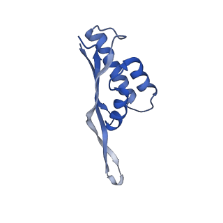 12332_7nhl_V_v1-1
VgaA-LC, an antibiotic resistance ABCF, in complex with 70S ribosome from Staphylococcus aureus