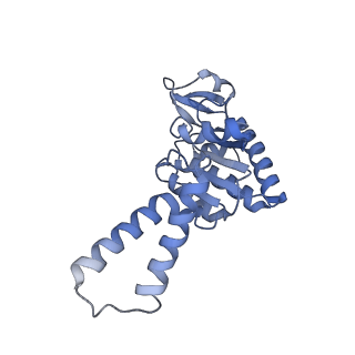 12332_7nhl_c_v1-1
VgaA-LC, an antibiotic resistance ABCF, in complex with 70S ribosome from Staphylococcus aureus