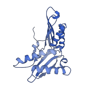 12332_7nhl_d_v1-1
VgaA-LC, an antibiotic resistance ABCF, in complex with 70S ribosome from Staphylococcus aureus