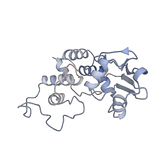 12332_7nhl_e_v1-1
VgaA-LC, an antibiotic resistance ABCF, in complex with 70S ribosome from Staphylococcus aureus