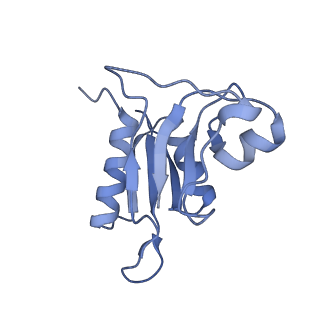 12332_7nhl_i_v1-1
VgaA-LC, an antibiotic resistance ABCF, in complex with 70S ribosome from Staphylococcus aureus