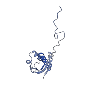 12332_7nhl_j_v1-1
VgaA-LC, an antibiotic resistance ABCF, in complex with 70S ribosome from Staphylococcus aureus