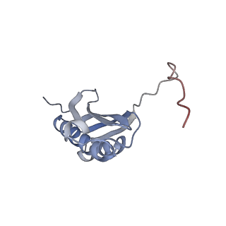 12332_7nhl_l_v1-1
VgaA-LC, an antibiotic resistance ABCF, in complex with 70S ribosome from Staphylococcus aureus