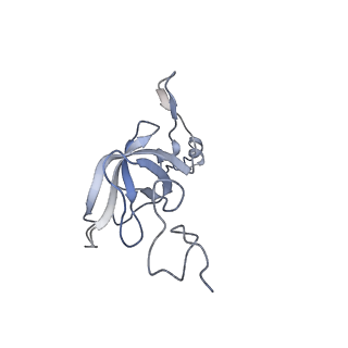 12332_7nhl_m_v1-1
VgaA-LC, an antibiotic resistance ABCF, in complex with 70S ribosome from Staphylococcus aureus