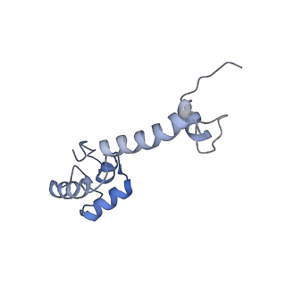 12332_7nhl_n_v1-1
VgaA-LC, an antibiotic resistance ABCF, in complex with 70S ribosome from Staphylococcus aureus
