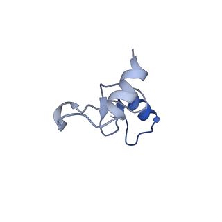 12332_7nhl_o_v1-1
VgaA-LC, an antibiotic resistance ABCF, in complex with 70S ribosome from Staphylococcus aureus