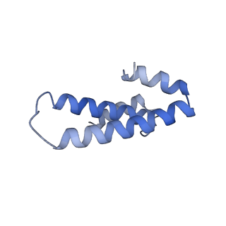12332_7nhl_p_v1-1
VgaA-LC, an antibiotic resistance ABCF, in complex with 70S ribosome from Staphylococcus aureus