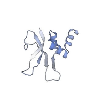 12332_7nhl_q_v1-1
VgaA-LC, an antibiotic resistance ABCF, in complex with 70S ribosome from Staphylococcus aureus