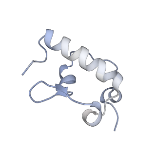 12332_7nhl_s_v1-1
VgaA-LC, an antibiotic resistance ABCF, in complex with 70S ribosome from Staphylococcus aureus