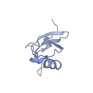 12332_7nhl_t_v1-1
VgaA-LC, an antibiotic resistance ABCF, in complex with 70S ribosome from Staphylococcus aureus