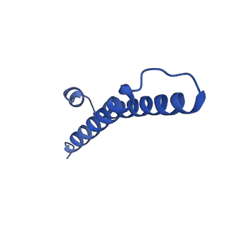 12333_7nhm_2_v1-1
70S ribosome from Staphylococcus aureus