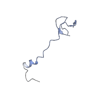 12333_7nhm_5_v1-1
70S ribosome from Staphylococcus aureus