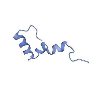 12333_7nhm_7_v1-1
70S ribosome from Staphylococcus aureus