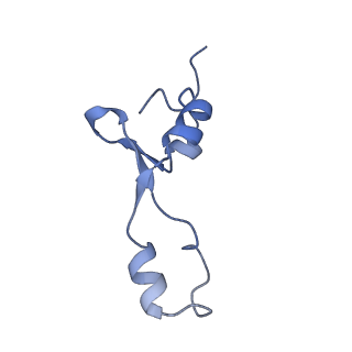 12333_7nhm_8_v1-1
70S ribosome from Staphylococcus aureus
