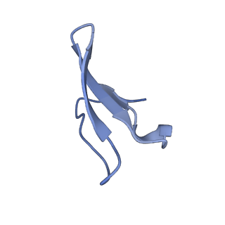 12333_7nhm_9_v1-1
70S ribosome from Staphylococcus aureus