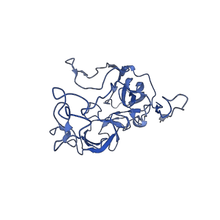 12333_7nhm_G_v1-1
70S ribosome from Staphylococcus aureus