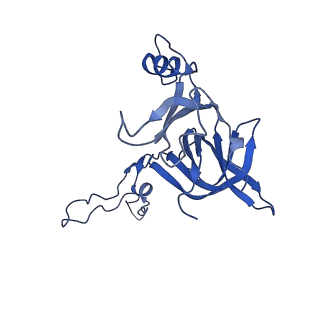 12333_7nhm_H_v1-1
70S ribosome from Staphylococcus aureus