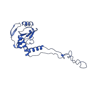 12333_7nhm_I_v1-1
70S ribosome from Staphylococcus aureus