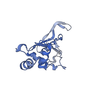 12333_7nhm_J_v1-1
70S ribosome from Staphylococcus aureus