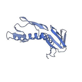 12333_7nhm_K_v1-1
70S ribosome from Staphylococcus aureus