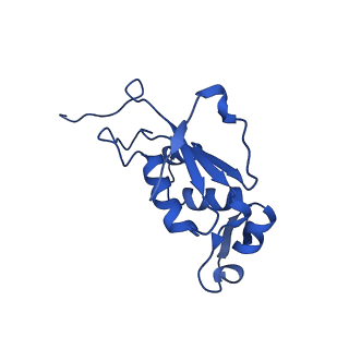 12333_7nhm_M_v1-1
70S ribosome from Staphylococcus aureus