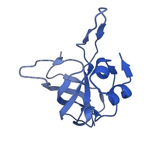 12333_7nhm_N_v1-1
70S ribosome from Staphylococcus aureus