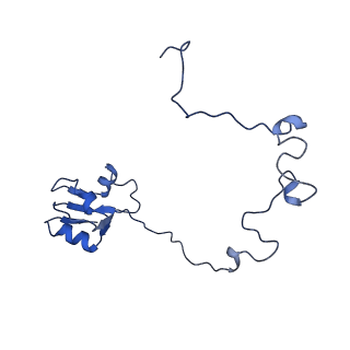 12333_7nhm_O_v1-1
70S ribosome from Staphylococcus aureus