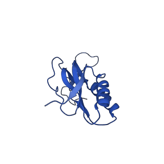 12333_7nhm_P_v1-1
70S ribosome from Staphylococcus aureus