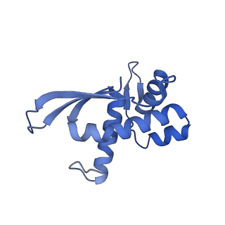 12333_7nhm_Q_v1-1
70S ribosome from Staphylococcus aureus