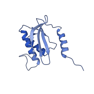 12333_7nhm_R_v1-1
70S ribosome from Staphylococcus aureus