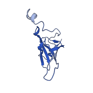 12333_7nhm_S_v1-1
70S ribosome from Staphylococcus aureus