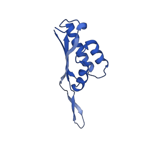 12333_7nhm_V_v1-1
70S ribosome from Staphylococcus aureus